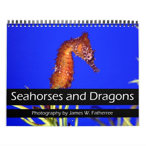 Seahorses and Dragons Calendar