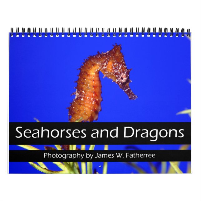 Seahorses and Dragons Calendar (Cover)