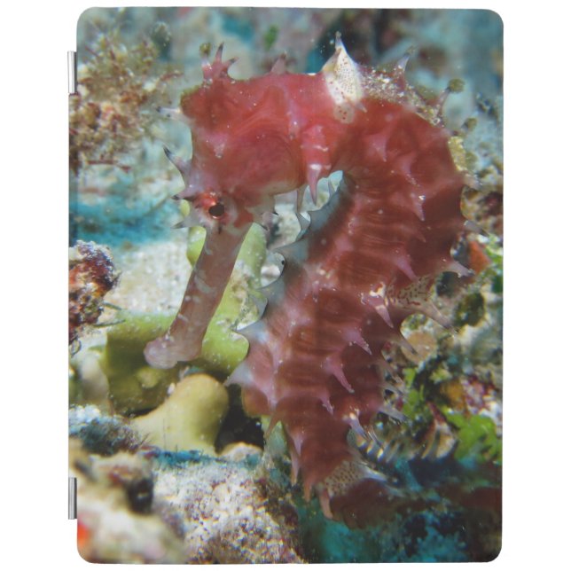 Seahorse's Garden iPad Smart Cover (Front)