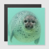 Seal20151105 (Front/Back)