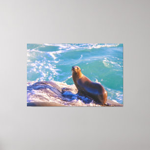 Seal 1- What you looking at! Canvas Print