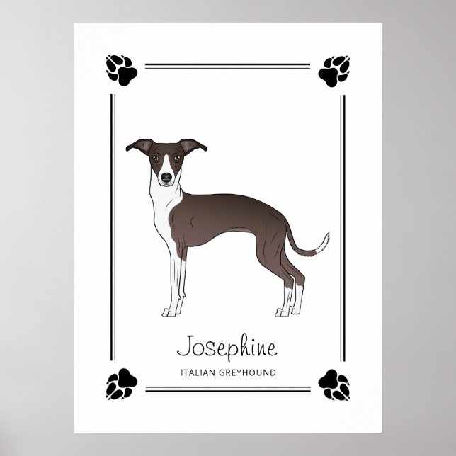 Seal And White Italian Greyhound With Paws & Text Poster (Front)