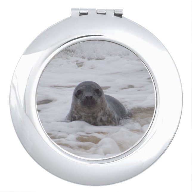 Seal - Animal Color Photo Round Compact Mirror (Front)