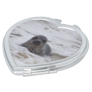 Seal - Animal Colour Photo Heart Compact Mirror