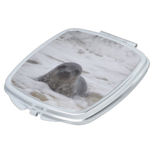 Seal - Animal Colour Photo Square Compact Mirror
