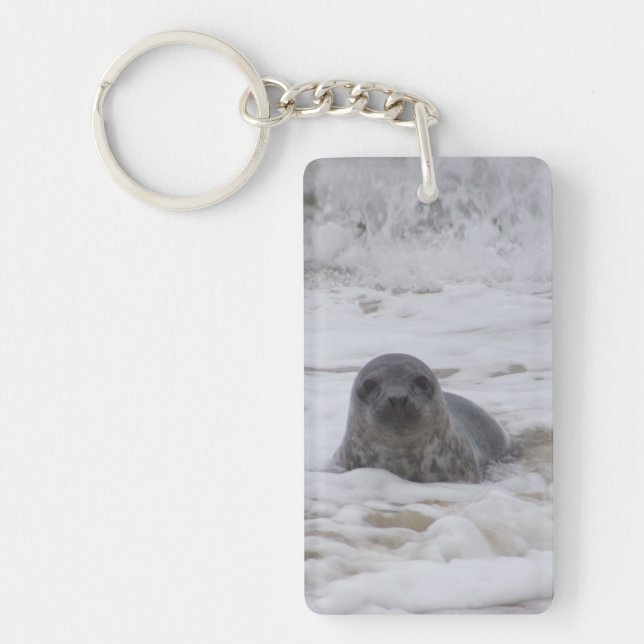 Seal - Animal Image Acrylic Rectangle Keychain (Front)