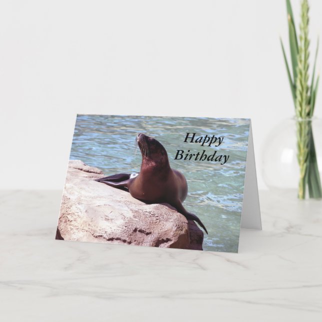 Seal Birthday Card (Front)