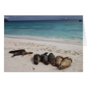 Seal Card (Front Horizontal)