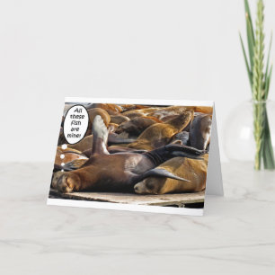 Seal Dreaming Big Card