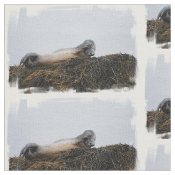 Seal Fabric by WildlifeAnimals at Zazzle