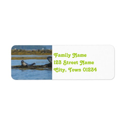 Seal in Casco Bay Maine Label