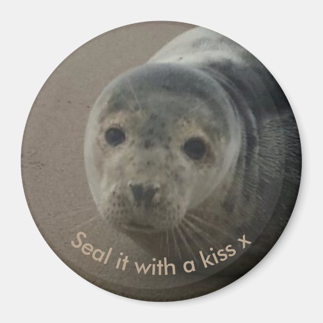 Seal it with a kiss cute baby gray seal magnet (Front)