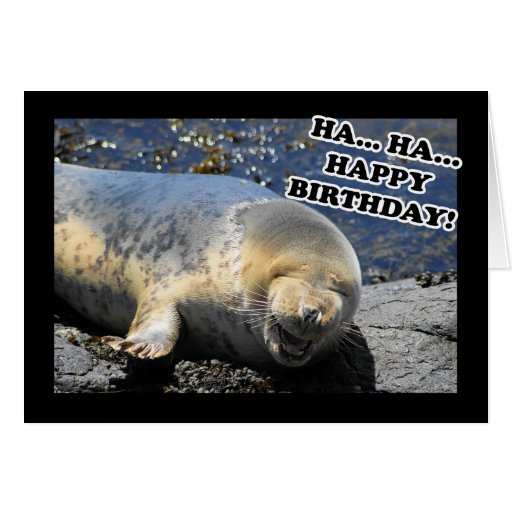 Seal Laughing Ha Ha Happy Birthday Card | Zazzle