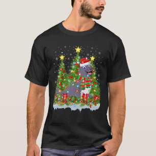 Seal Lighting Xmas Tree Lover Funny Seal Christmas T-Shirt