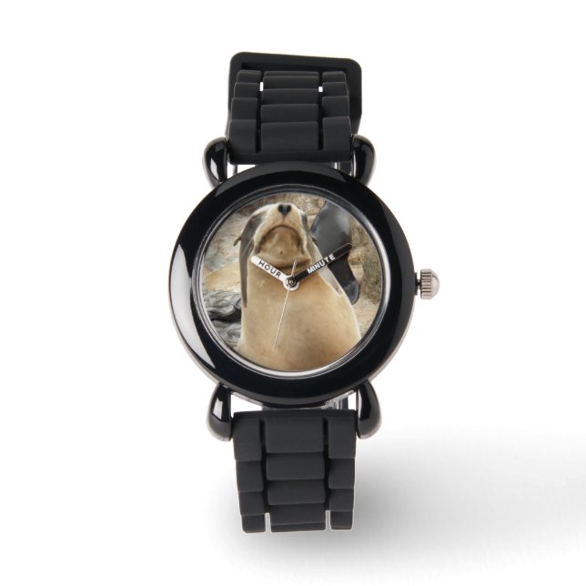 Seal Lion Time Watch (Front)