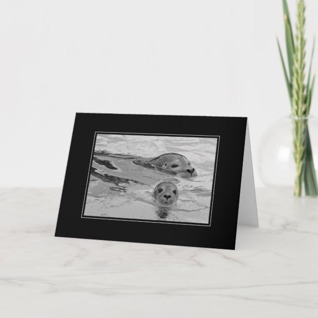 Seal mother and her baby seal card (Front)