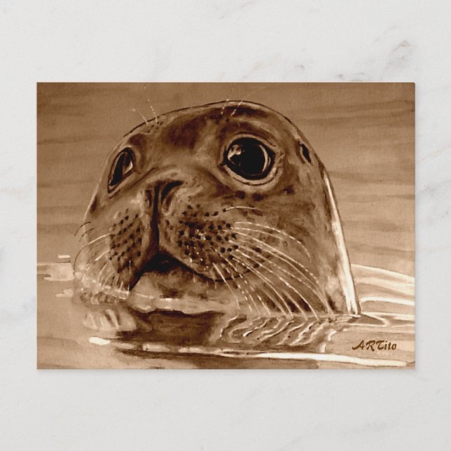 SEAL-Northsea Postcard (Front)