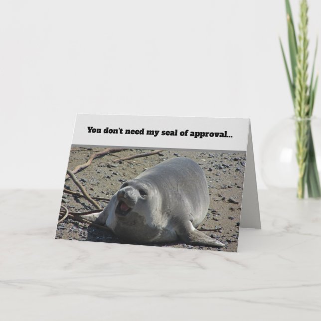Seal of Approval Ocean Animal Photo Elephant Seal Card (Front)