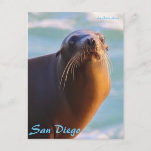 Seal of approval postcard