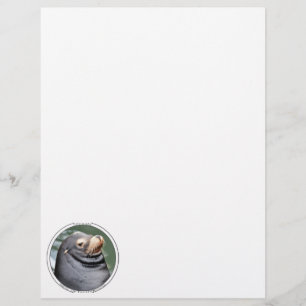 Seal of Disapproval 8.5x11 Stationery