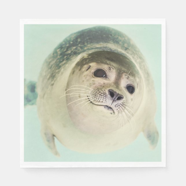 seal paper napkins (Front)