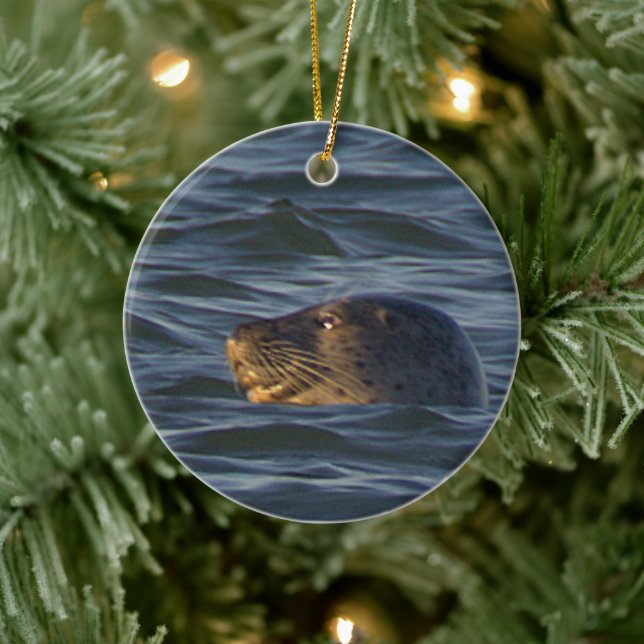 Seal Photo Ornament  (Tree)