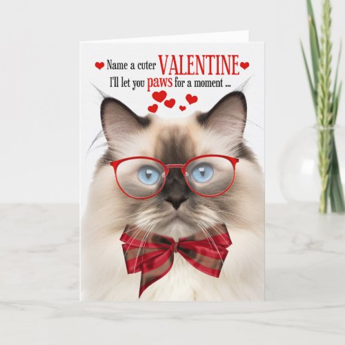 Seal Point Ragdoll Cat Valentine Feline Humor Holiday Card