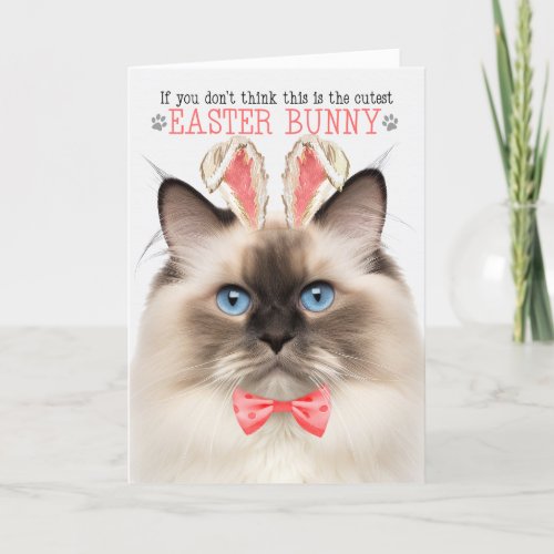 Seal Point Ragdoll Cutest Easter Bunny Kitty Puns Holiday Card