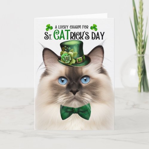 Seal Point Ragdoll Lucky Charm St CATricks Day Holiday Card