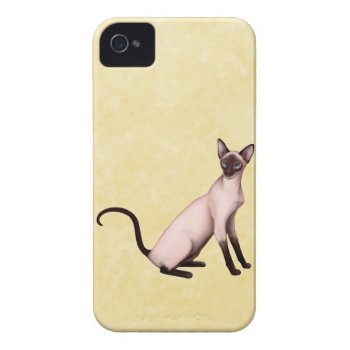 Seal Point Siamese Cat Blackberry Bold Case by TheCasePlace at Zazzle