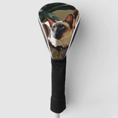 Seal Point Siamese Cat on Comfy Pillow Golf Head Cover