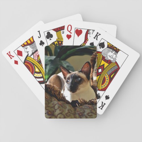 Seal Point Siamese Cat on Comfy Pillow Poker Cards