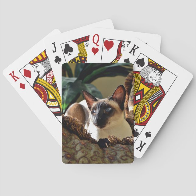 Seal Point Siamese Cat on Comfy Pillow Poker Cards (Back)