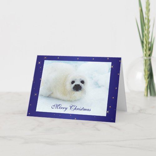 Seal pup cute baby in snow holiday christmas card