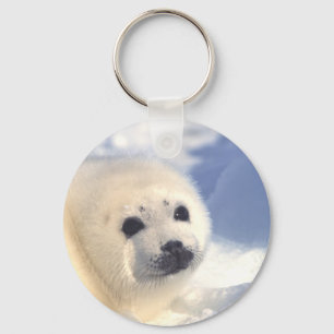 Seal Pup Face Keychain