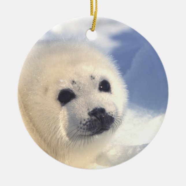 Seal Pup Face Ornament (Front)