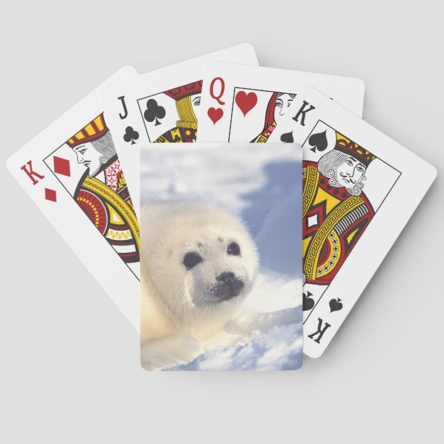 Seal Pup Face Poker Cards (Back)