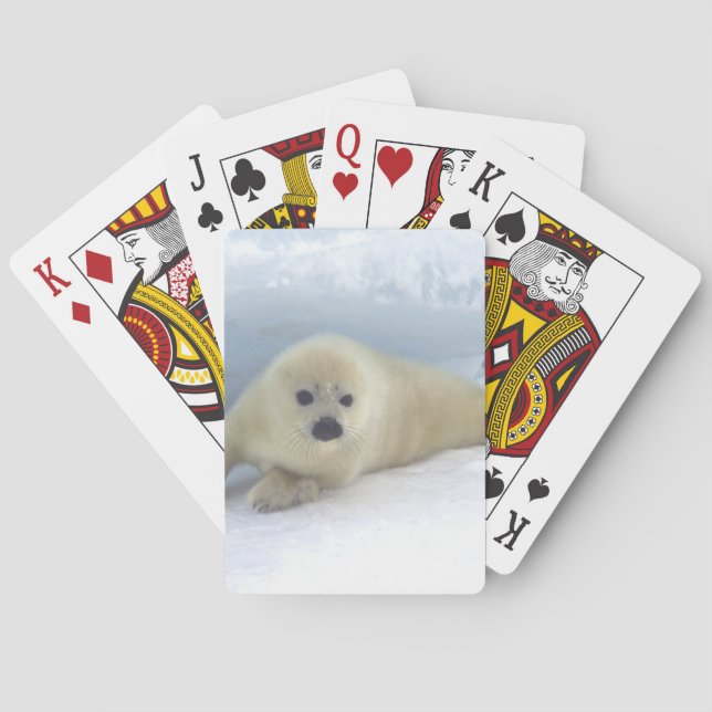 Seal Pup Poker Cards (Back)