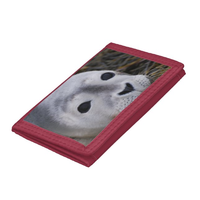 Seal Pup Tri-fold Wallet (Bottom)
