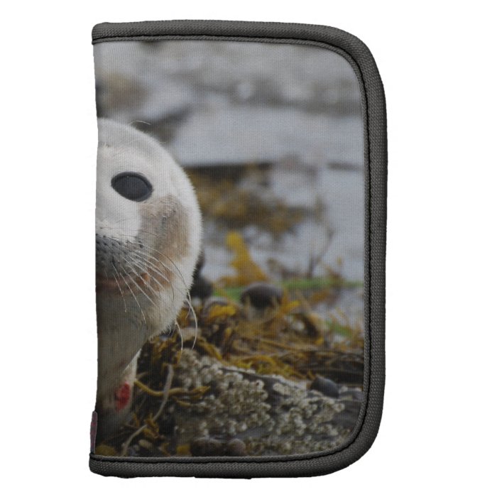 Seal Pup Wallet Folio Planner