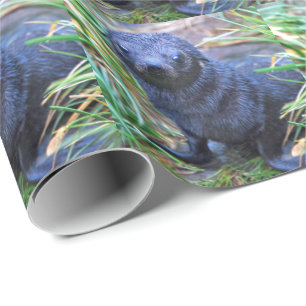 Seal Pup Wrapping Paper