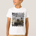 Seal Pup Youth T-Shirt