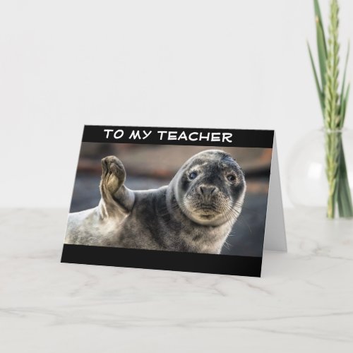 SEAL RAISES HIS HAND TO TEACHER ON BIRTHDAY CARD
