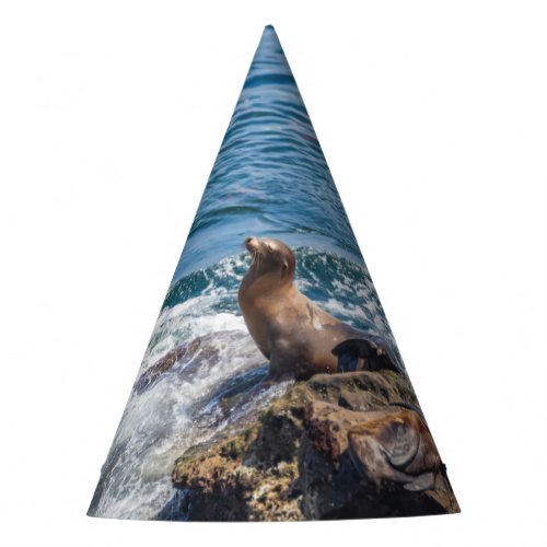 Seal Rock at La Jolla Beach in San Diego Party Hat