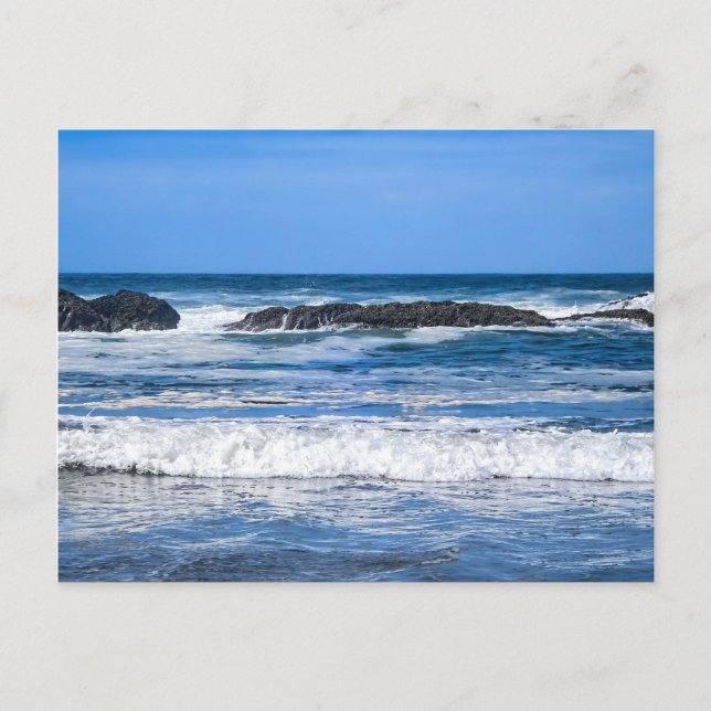 Seal Rock Oregon Coast On Pacific Ocean Postcard (Front)