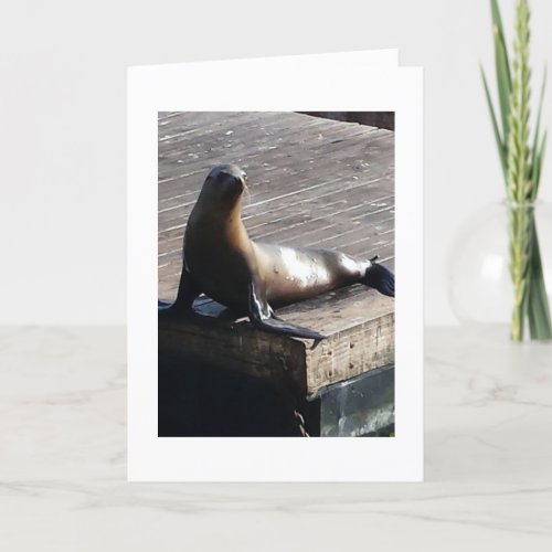 SEAL SAYS LETS SEAL IT WITH A KISS BIRTHDAY CARD