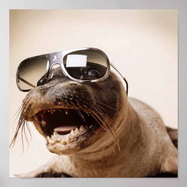 seal style poster (Front)