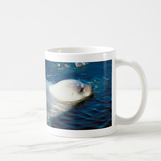 Seal Swimming Coffee Mug (Right)