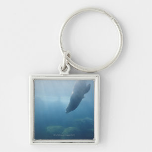 Seal swimming under the water keychain