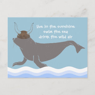 Seal Viking Illustration Postcard